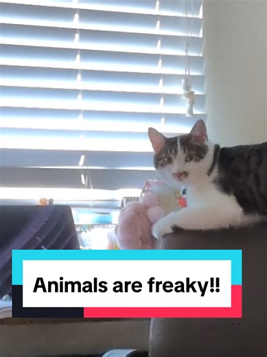 Discover the Weirdest Animal Mating Rituals