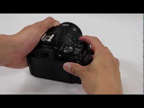 Canon EOS Kiss X10 高速連続撮影