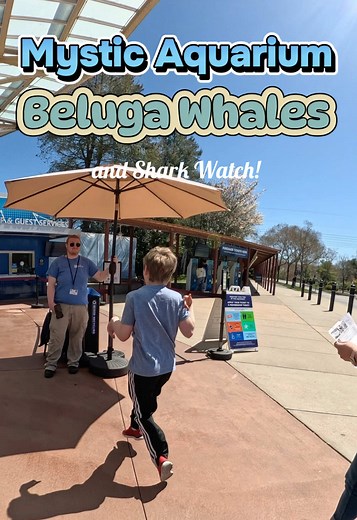 Henry visits Mystic Aquarium! We make sure there are no sharks and then check out Beluga Whales! Aquarium Part 1! #beluga #shark #funnykids #vacations #autism