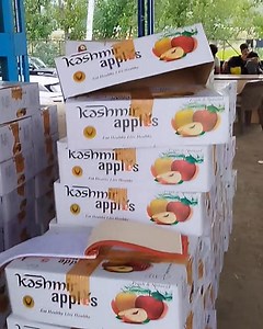 84K views · 730 reactions | Today 06/08/2025 Gala market update at jablipora fruit mandi Anantnag Firm:Dar fruit growers (9906760273) #TopFans #gardening | Dachnipora updates | Facebook