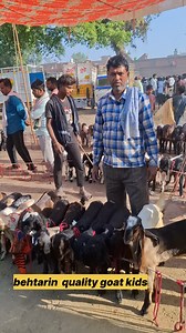 8.8M views · 93K reactions | Behtarin quality goat kids | Abhi Pet Lover | Facebook