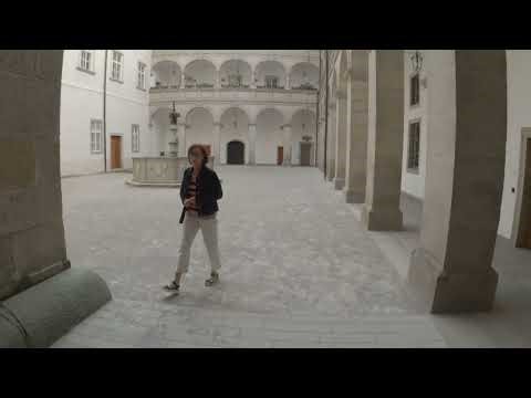 Man Walks Into Linz, Makes Fart Sounds, And Speaks The Truth About Hitler's School