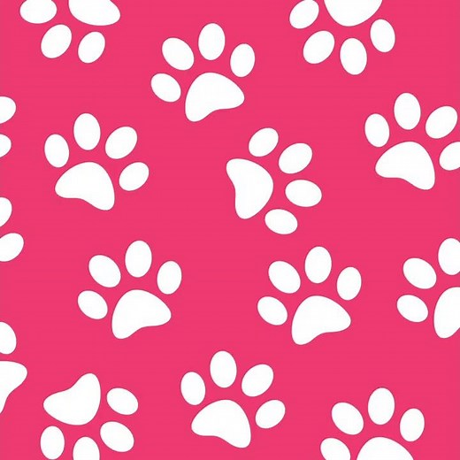 Guinea pig performs amazing tricks and our hearts can’t get enough | GMA Digital