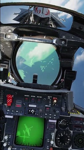 We Flew The F-14 With A Real RIO
