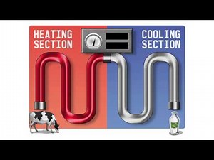 Mobile Dairy Classroom: Where Milk Comes, Safety, Quality, Pasteurization, Grades 4-6