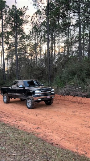 Enhance Your Ride with Tint on a 2002 Chevy