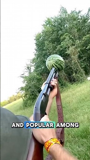 Winchester Model 1912: The Legendary Shotgun with a History of War!