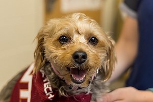 Compassionate Care Program