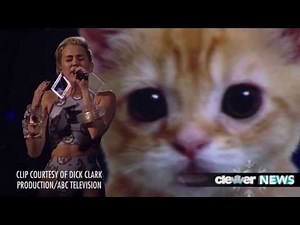 Miley Cyrus Space Cat "Wrecking Ball" Performance - American Music Awards 2013