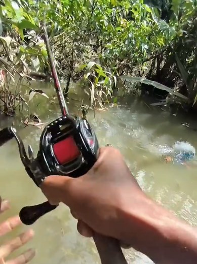 Casting Toman di Samarinda: Mama Toman Biru Setup Pancing