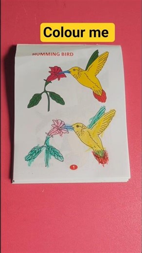 How to make a colour humming Bird #art #kidsactivity #shorts