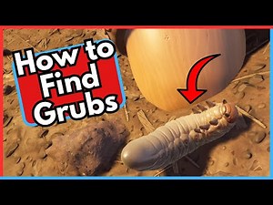 How to Find Grubs in Grounded