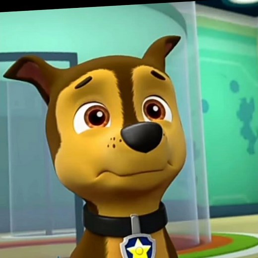 Paw patrol chase sad moments edit