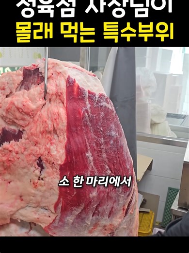 소 부위의 진수, 이브이의 매력