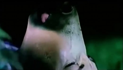 Female horse revert 1 #horse #transformation #revert #horsetransformation #horserevert