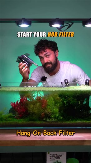 DALUA Fishroom on Instagram: "How to start a hang on back filter for your aquarium 🐠 Comment below any issues in your fish room and I’ll make a video on how to solve it ✅ #aquariumhobby #fishkeeping #fishroom #fishbreeding #fishtanks"