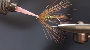 1.9K views · 27 reactions | The Carey Special is a classic wet fly...
