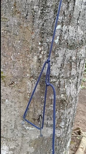 "Easiest Adjustable Camping Knot for Tents & Tarps!" #knot #shorts #diy