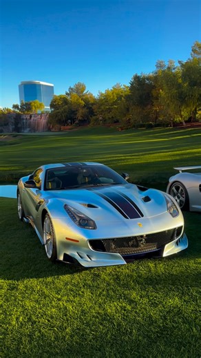 Travis Scherp on Instagram: "Perfect spec F12 TDF painted in Grigio Alloy with blue carbon accents 💙 @garageone73"