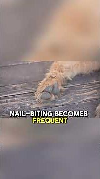 Dog Behavior Explained 🐶 Why Dogs Chew Their Nails