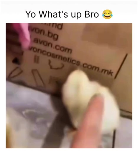 In 2025, the internet was gifted a moment that felt like watching Erling Haaland charging into the box... with Harry Maguire trying to defend it. The energy? Unmatched. The movement? Questionable. The execution? Somewhere between brilliance and absolute disaster. It was the perfect storm: the chaos of Maguire's positioning, combined with the unstoppable force of Haaland's momentum - all happening in a clip that wasn't even meant to be football-related. Fans couldn't tell if it was a tactical mas