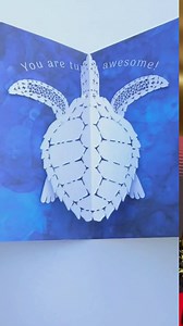 Awesome Turtle Pop Up Greeting Card
