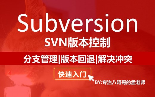【SVN】Subversion详细入门教程 快速入门