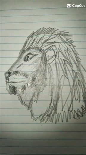 Lion head drawing #art #drawing #fyp #shorts