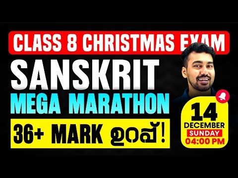 Class 8 Sanskrit Christmas Exam | Full Chapter Marathon | Exam Winner