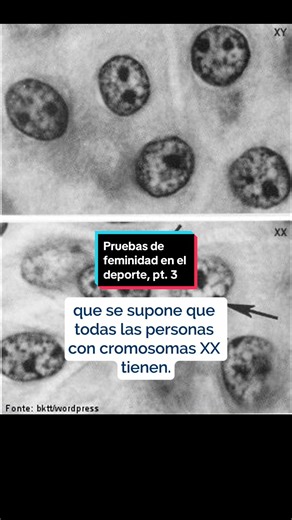 Las polémicas de hoy en día ya existían de cierta forma hace décadas. Deberíamos aprender del pasado. Con información de Anaïs Bohuon, “Le test de féminité dans les compétitions sportives. Une histoire classée X ?” (2012) #AprendeEnTikTok #olimpiadas #LGBT #feminismo #trans #intersex #deportes