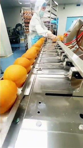 The Donut Friendly Filling Machine：Perfect Injection Without Damage#factoryproducts #machine #pastry