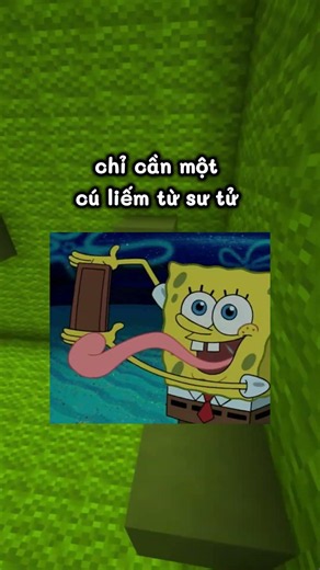 Tại Sao Bạn Không Nên Để Sư Tử Liếm...