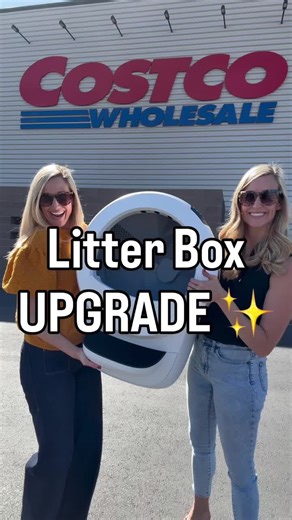 Upgrade Your Cat's Life with the Litter-Robot 4