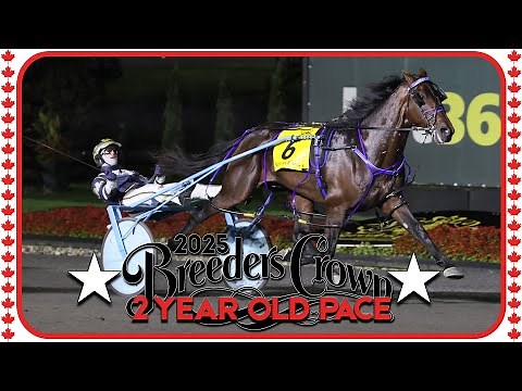 2025 Breeders Crown | Beau Jangles | 2CP