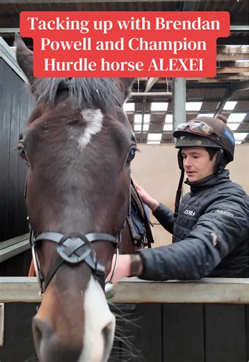 Great to hear jockey, Brendan Powell’s thoughts ahead of the Champion Hurdle. He’s a very exciting prospect who has kept improving throughout the season and has already won at Cheltenham back in November. Can he provide an upset? #racehorse #horseracing #goldcup #cheltenhamfestival #horserace