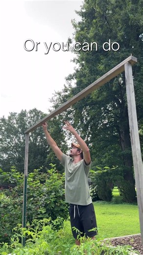 the best cheap trellis