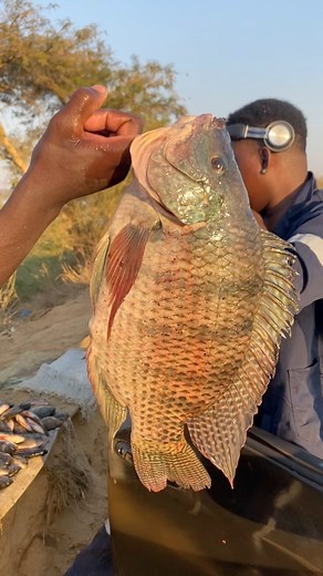 76K views · 1.9K reactions | Khombela Ritshi Fhedzisa U Shoot Music Video Ridovhe Riliwane Helo Ma Kill  | KD Filmsproduction | Facebook