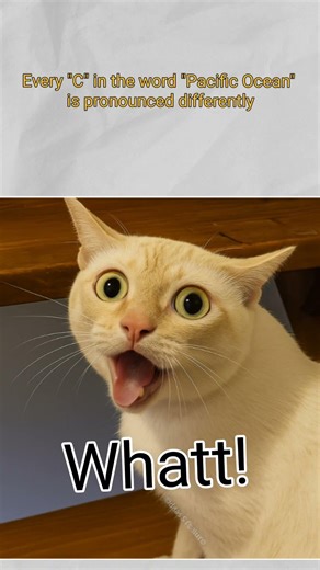 Now u are gonna say Pacific for 10 sec#meme#