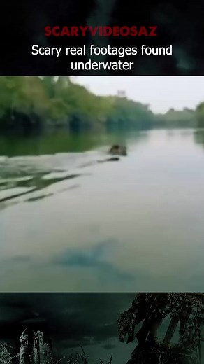 145K views · 736 reactions | Strange creatures underwater captured on camera #scaryvideosaz #scary #ghoststories #horrorvideos #horrorstories #disaster #ghost #scary #Scaryvideos #horror #ghosthunter | Emma Fans | Facebook