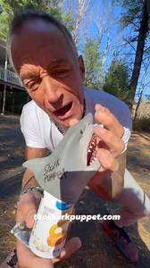 13K views · 290 reactions | GET ONE AT thesharkpuppet.com | The Shark Puppet | Facebook