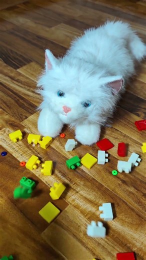 Relaxing Cat ASMR – Cozy Purring 🐱💤