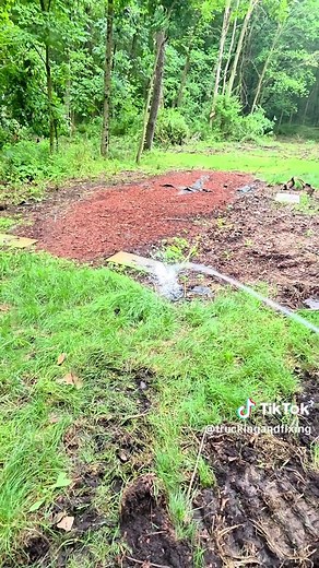 How to remove ground hornets safely #groundhornets #offgrid #offgridlife #hornets #hornetsnest