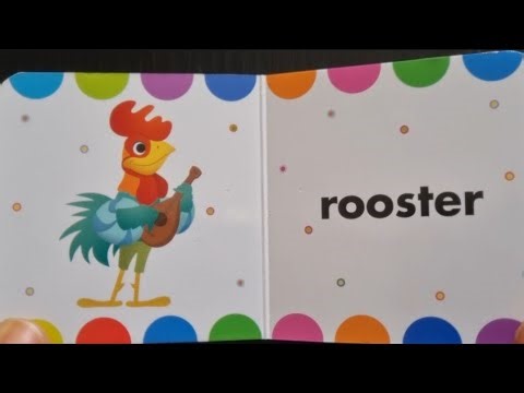 Disney Baby "Animal Friends" Read Aloud Book For Kids