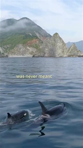 Don't forget this 🙏 #shorts #jayshetty