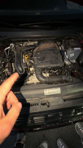 Motore 1003 cilindri: 115cv non bastano!