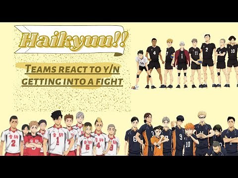 HAIKYUU!! TEAMS react to y/n getting into a fight || Haikyuu x y/n || text