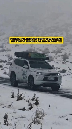 YOU'LL DEFINITELY LAUGH! PAJERO IS MOCKED BECAUSE ITS NAME HAS AN EMBARRASSING MEANING!