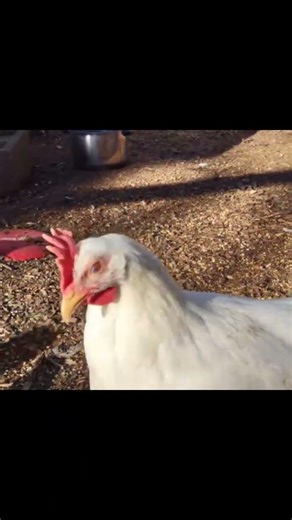 Why are you stalking me?