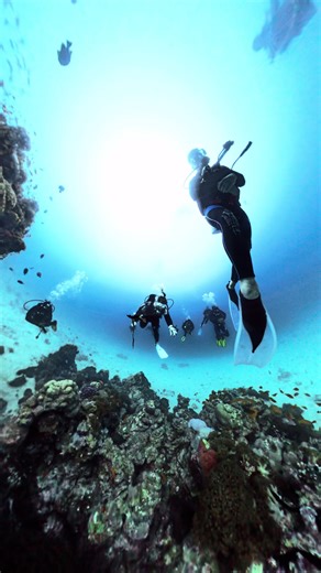 #scuba #diving #red #sea #hurgada #beautifull #Diving