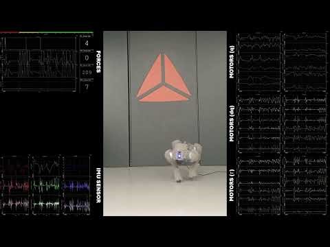 Robot dog signals in DewesoftX